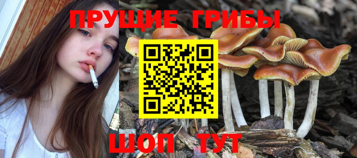 Нурлат  Псилоцибиновые грибы прущие грибы  Галлюциногенные грибы прущие грибы  Вход с VPN 